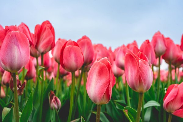 Quelles astuces pour réduire la consommation d'eau dans une maison ?